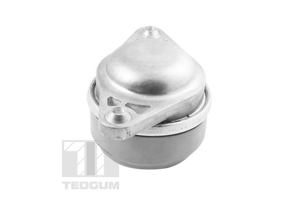 TEDGUM TED37501 Mounting, engine