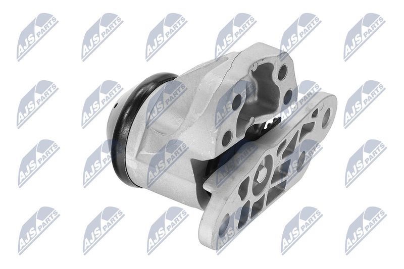 Paigutus, Mootor, NTY ZPS-FR-053