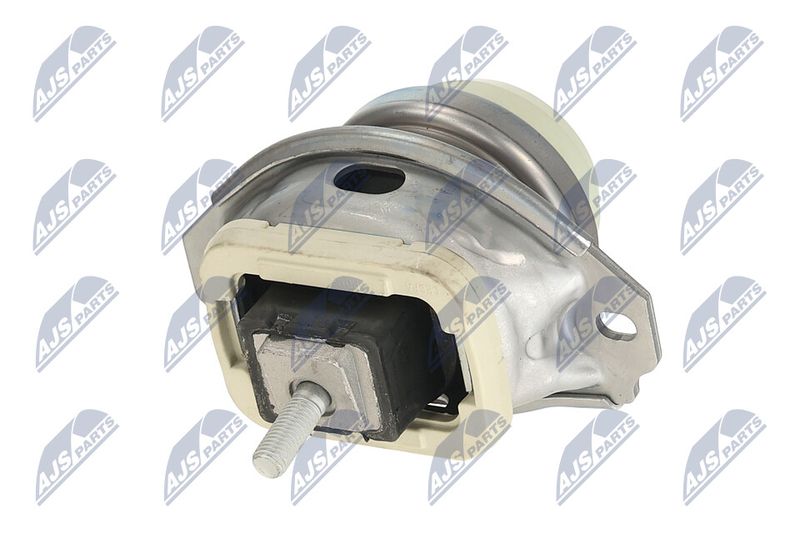 Paigutus, Mootor, NTY ZPS-LR-020