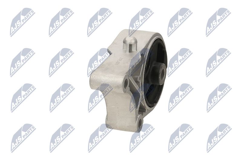Paigutus, Mootor, NTY ZPS-PL-074