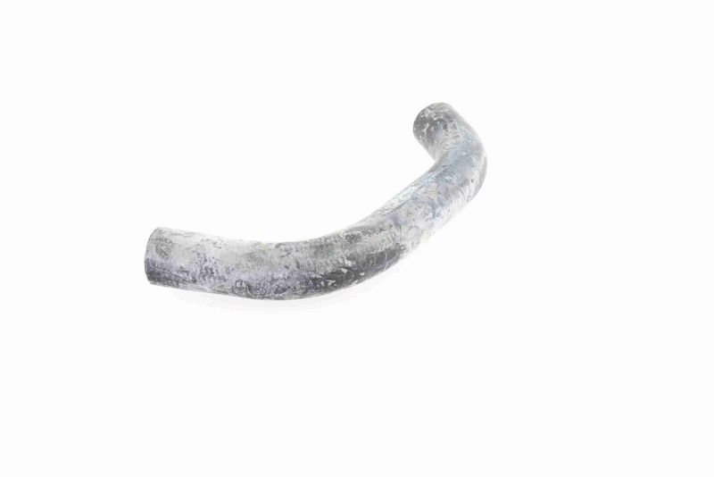 VAICO V10-0065 Radiator Hose