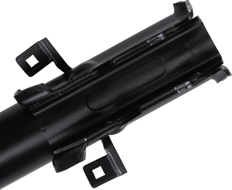 Amort, SACHS 318 236