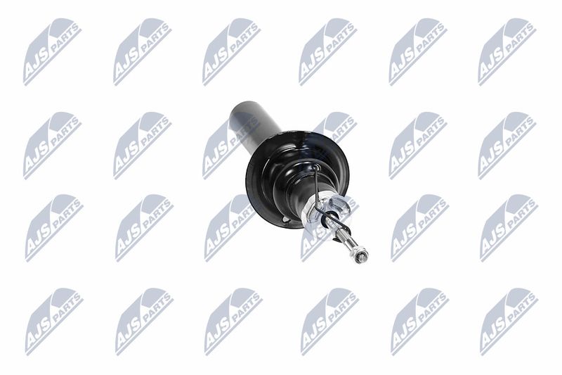 Amort, NTY A-CH-065