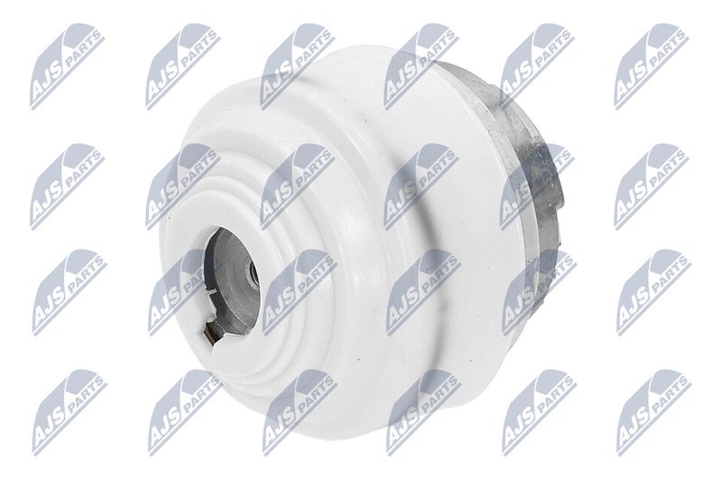 Paigutus, Mootor, NTY ZPS-ME-099