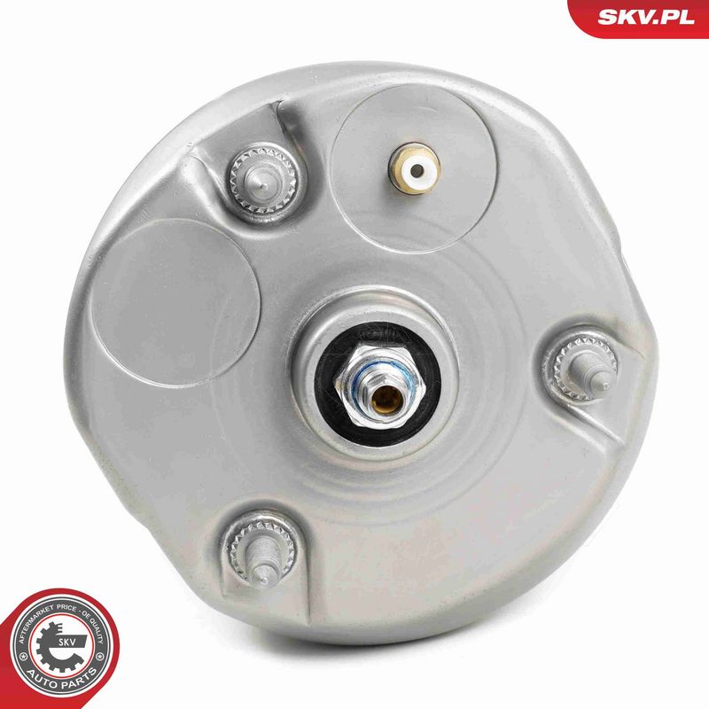 ESEN SKV 58SKV707 Air Suspension Strut