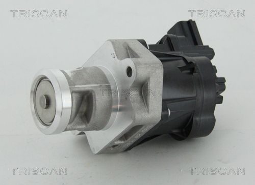 TRISCAN AGR-szelep 8813 24083