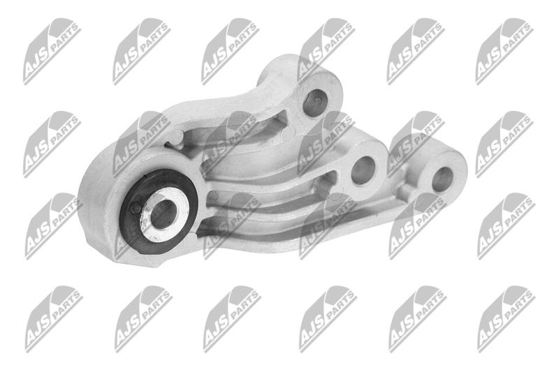 Paigutus, Mootor, NTY ZPS-CH-123