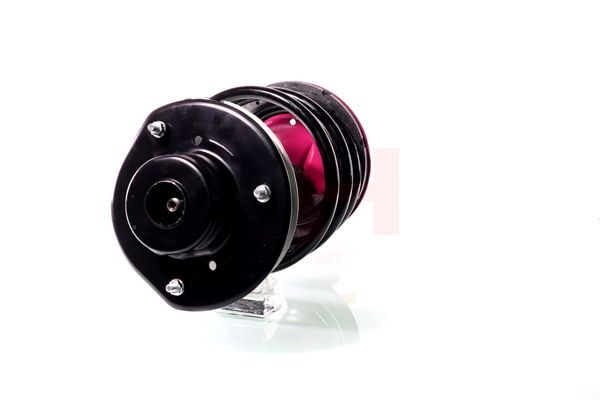 Vedruamort, GH GH-359321C02