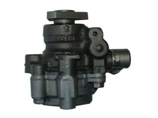 SPIDAN 54247 Hydraulic Pump, steering