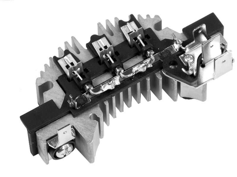 51550.JPG