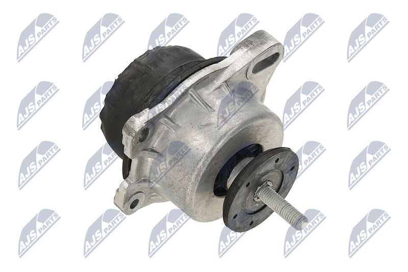 Paigutus, Mootor, NTY ZPS-FR-013