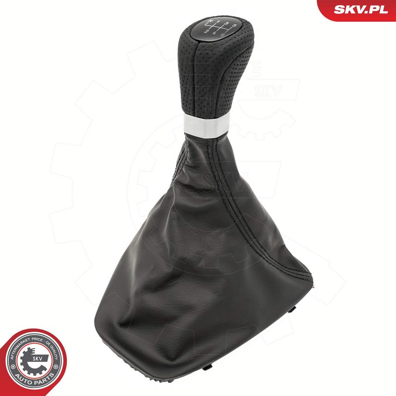 Käigukanginupp, ESEN SKV...