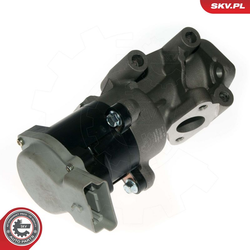 EGR-klapp, ESEN SKV 14SKV089
