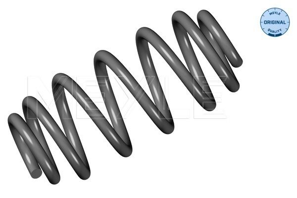 ZS_1007390040_1.JPG