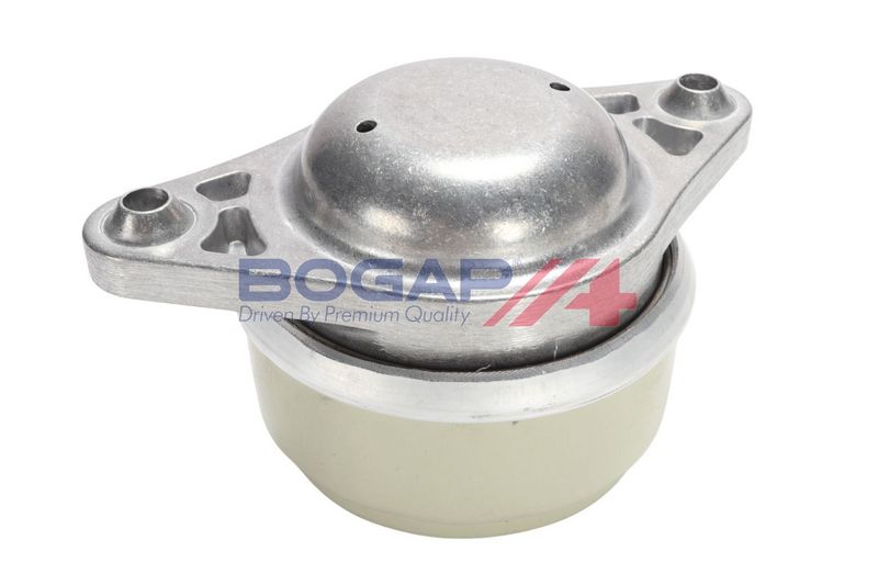 BOGAP Variklio montavimas