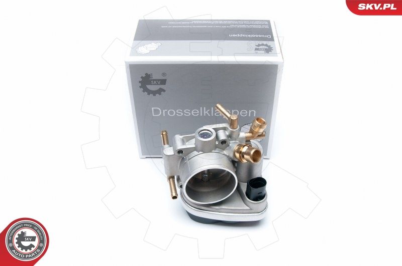 ESEN SKV 12SKV049 Throttle Body