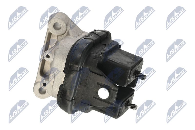 Paigutus, Mootor, NTY ZPS-CH-019