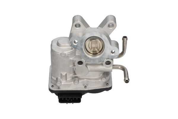 KAVO PARTS EGR-klep EEG-8005