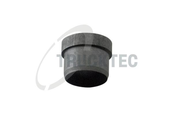 TRUCKTEC AUTOMOTIVE 01.67.083 - Cilindro galvutės įvorė