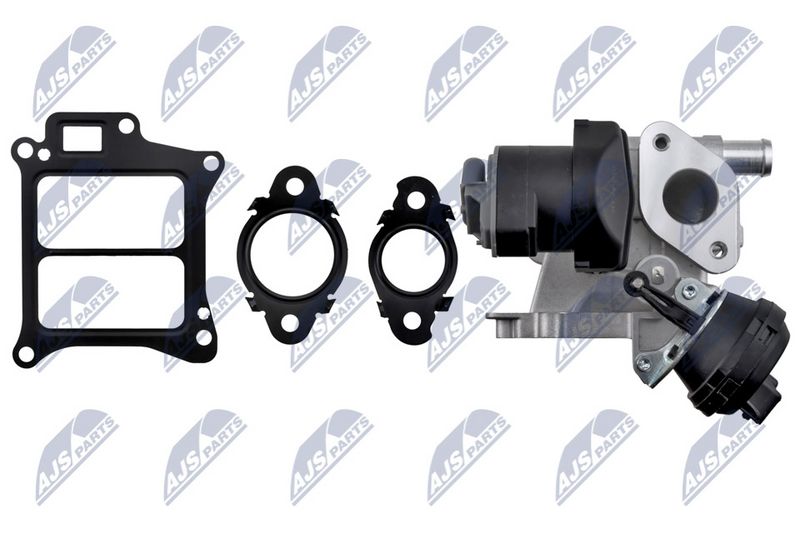 NTY EGR-VV-010 EGR Valve