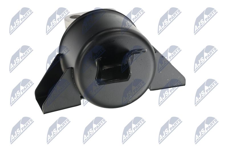 Paigutus, Mootor, NTY ZPS-DW-010