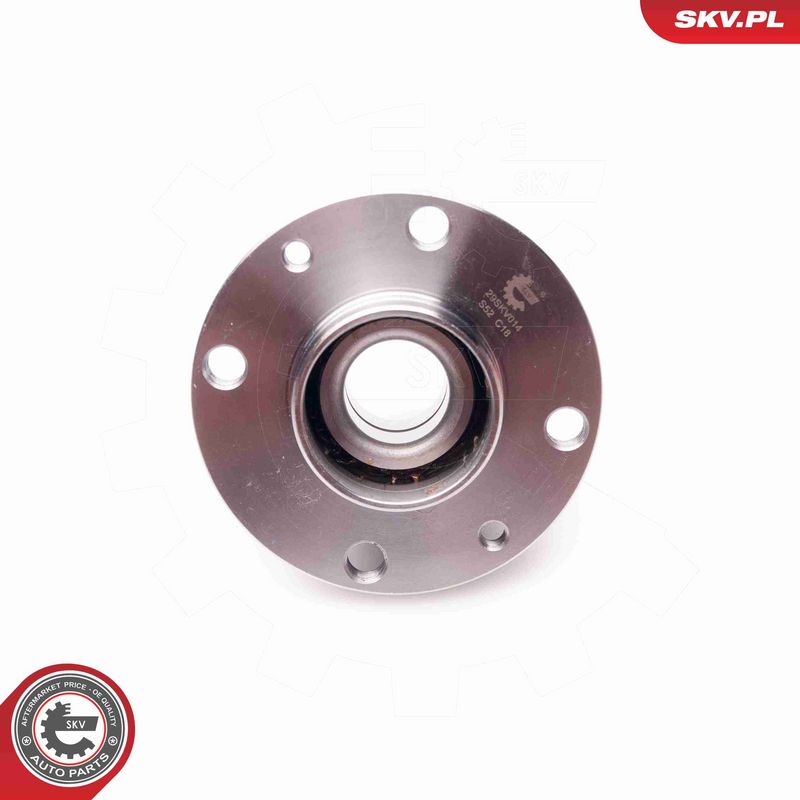 ESEN SKV 29SKV014 Wheel Bearing Kit