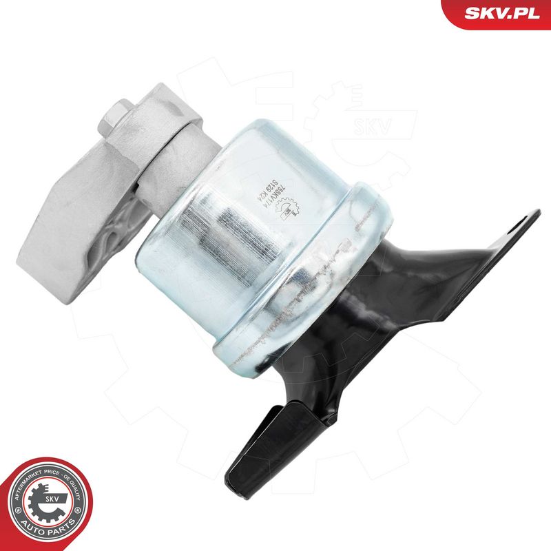 Paigutus, Mootor, ESEN SKV 75SKV174