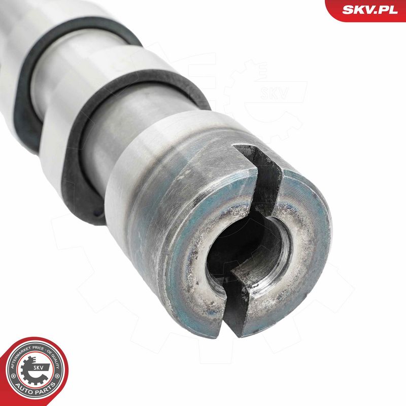 Nukkvõll, ESEN SKV 80SKV017