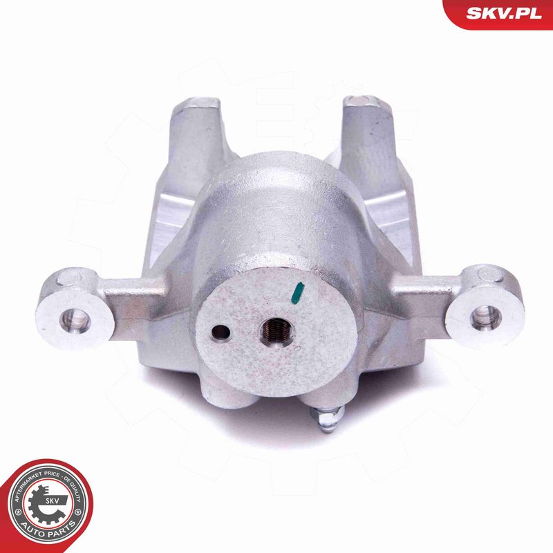 ESEN SKV 56SKV254 Brake Caliper