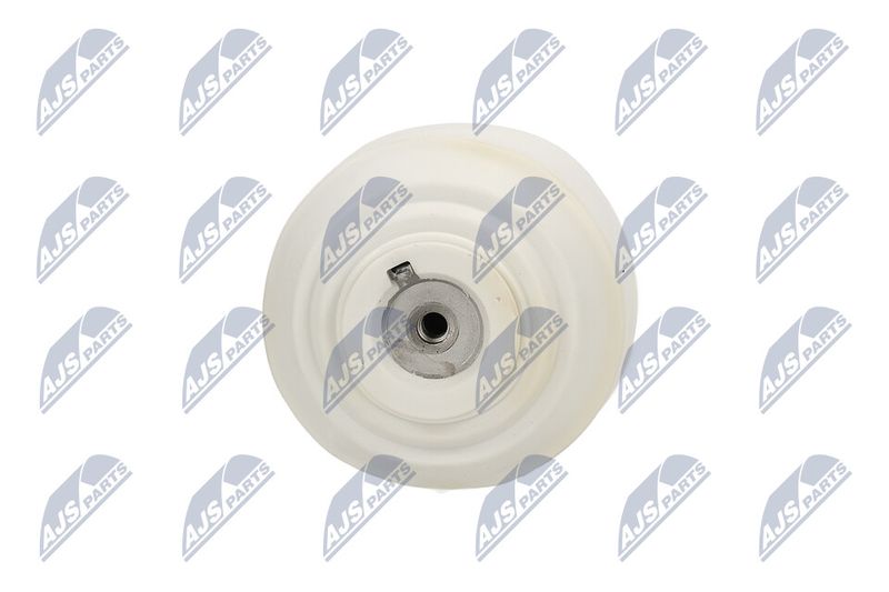 Paigutus, Mootor, NTY ZPS-ME-103