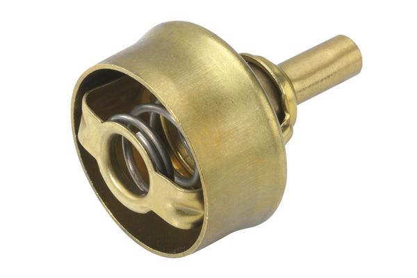 BorgWarner (Wahler) 3029.92 Thermostat, coolant