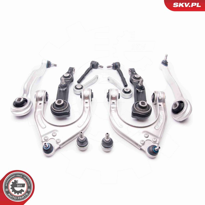 ESEN SKV 04SKV300 Repair Kit, control arm