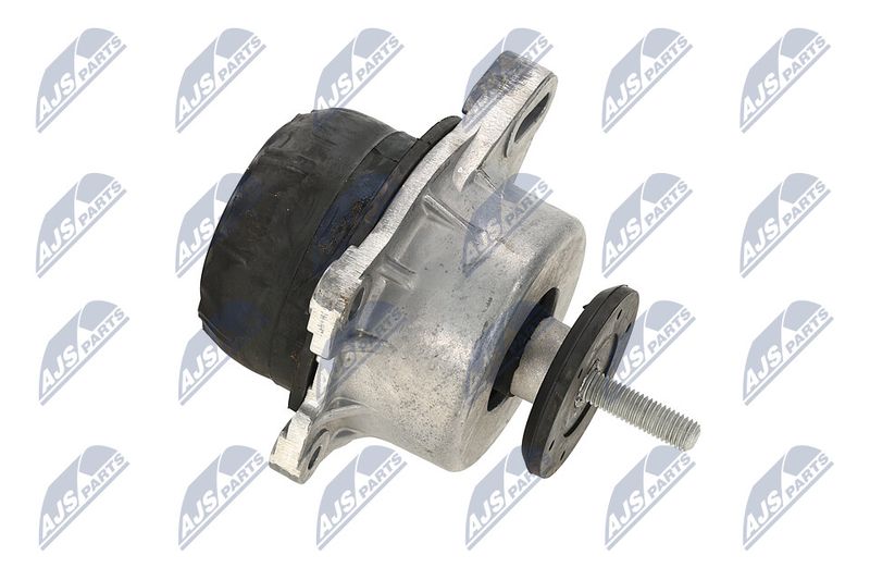 Paigutus, Mootor, NTY ZPS-FR-013