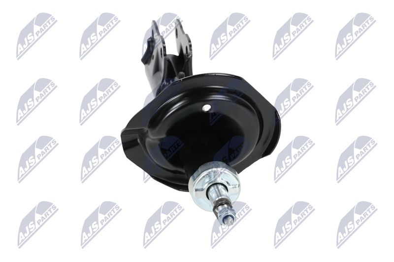 Amort, NTY A-MS-015
