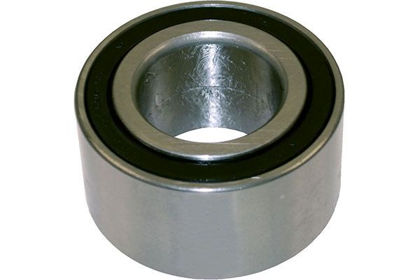 Kavo Parts Rato guolis