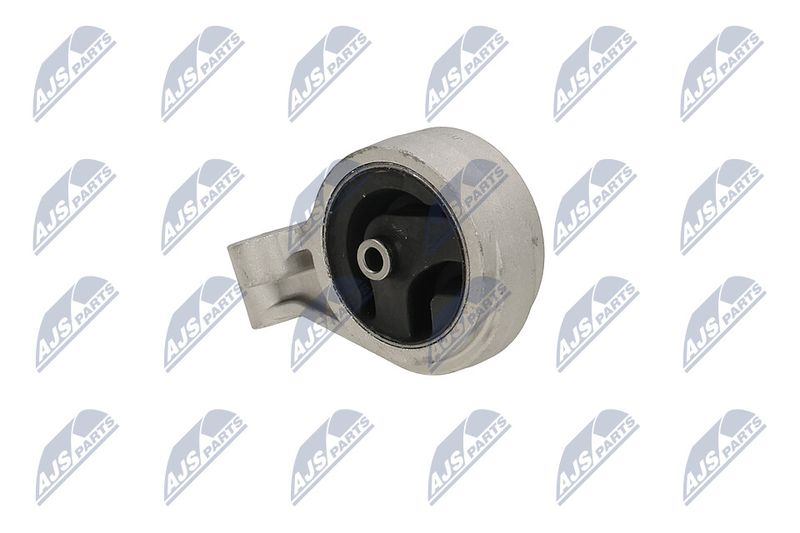 Paigutus, Mootor, NTY ZPS-MS-016