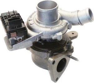 GS440391D.JPG