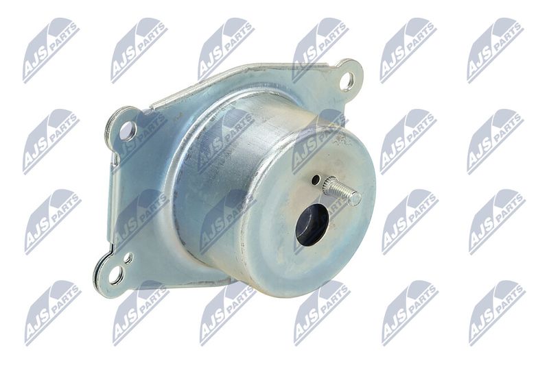Paigutus, Mootor, NTY ZPS-PL-026