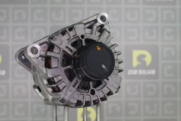 DA SILVA 012124 Generatorius