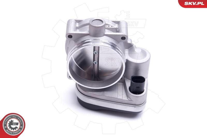 ESEN SKV 12SKV123 Throttle Body