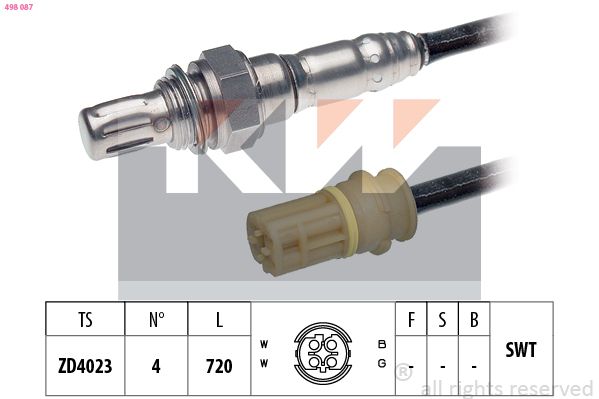 498 087-KW.JPG