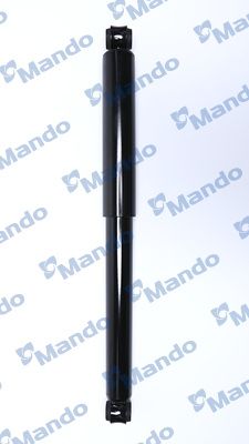 MSS020360B.JPG