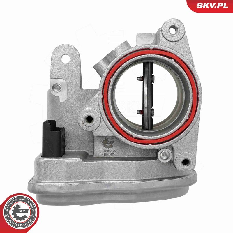 ESEN SKV 12SKV170 Throttle Body