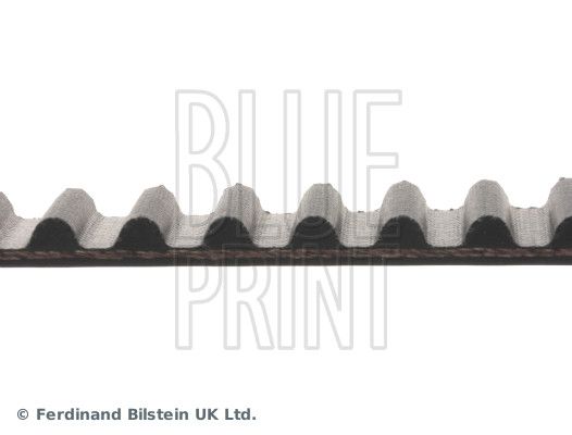 BLUE PRINT ADH27531 Timing Belt