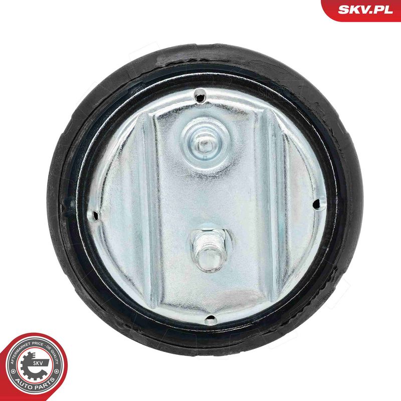 Paigutus, Mootor, ESEN SKV 75SKV151