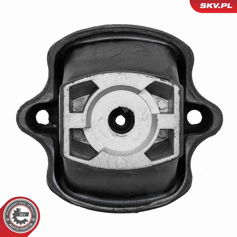 Paigutus, Mootor, ESEN SKV 75SKV009