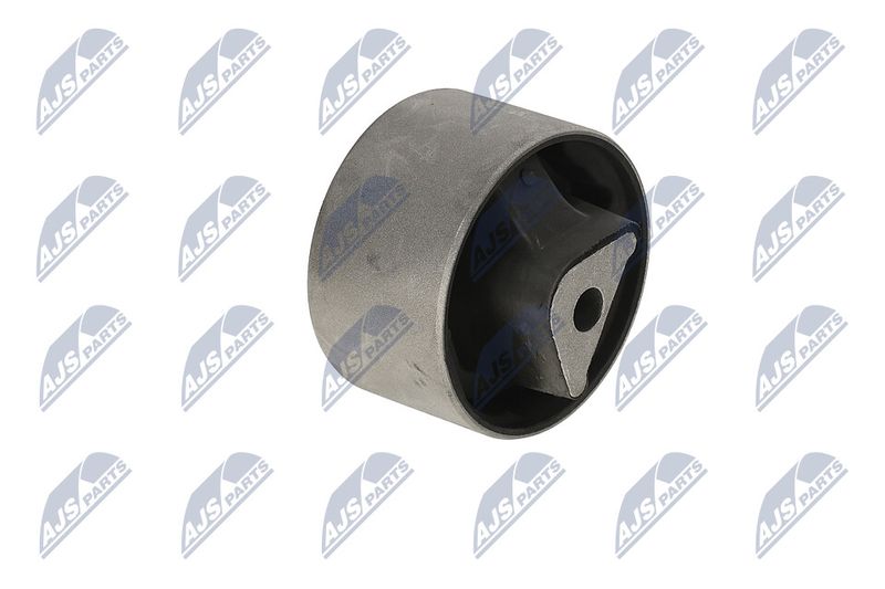 Paigutus, Mootor, NTY ZPS-CH-040