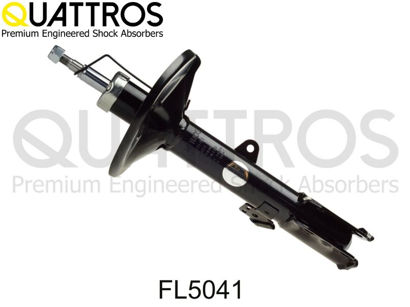 fl5041.JPG