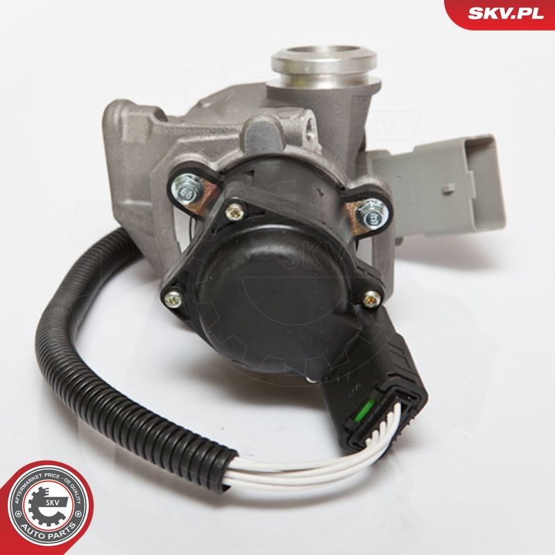 EGR-klapp, ESEN SKV 14SKV067