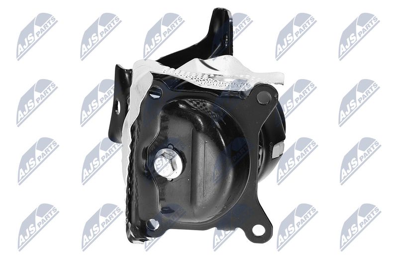 Paigutus, Mootor, NTY ZPS-CH-150